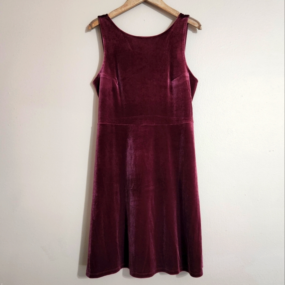 Express Velvet Dress